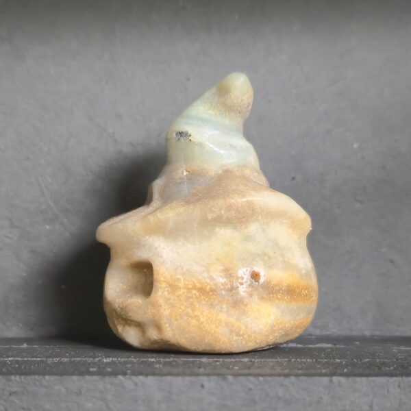 Agaat pompoen - Afbeelding 2