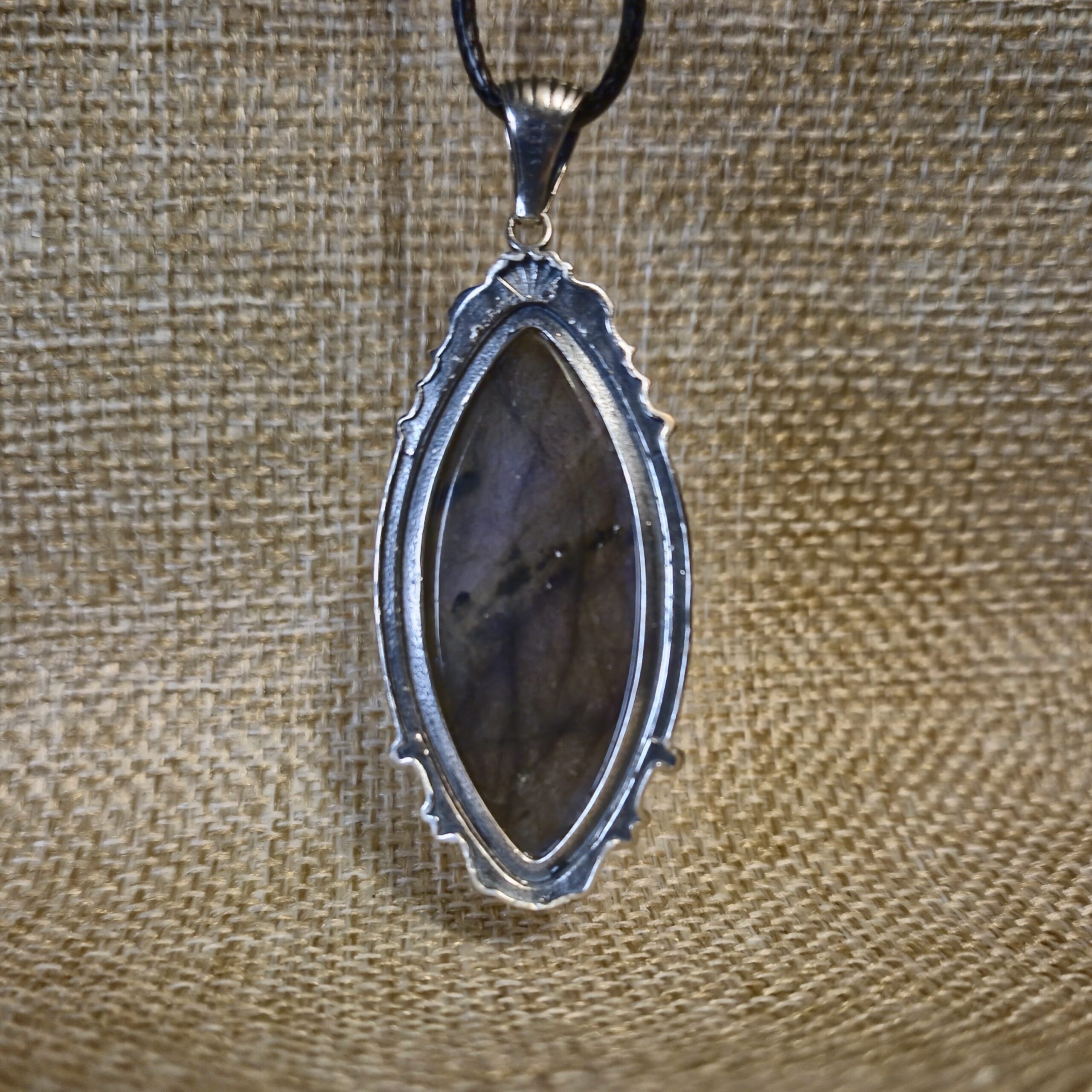 Markies labradoriet - Afbeelding 3