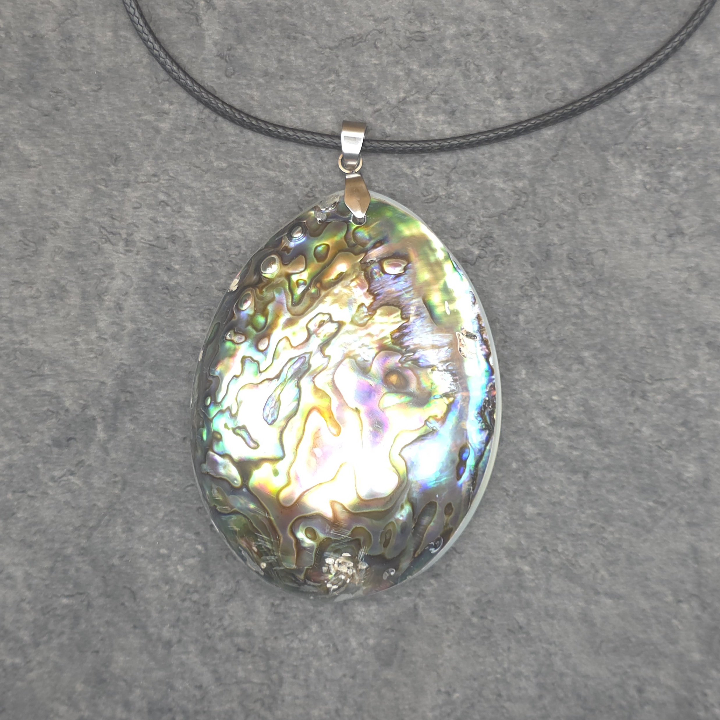 Abalone schelp